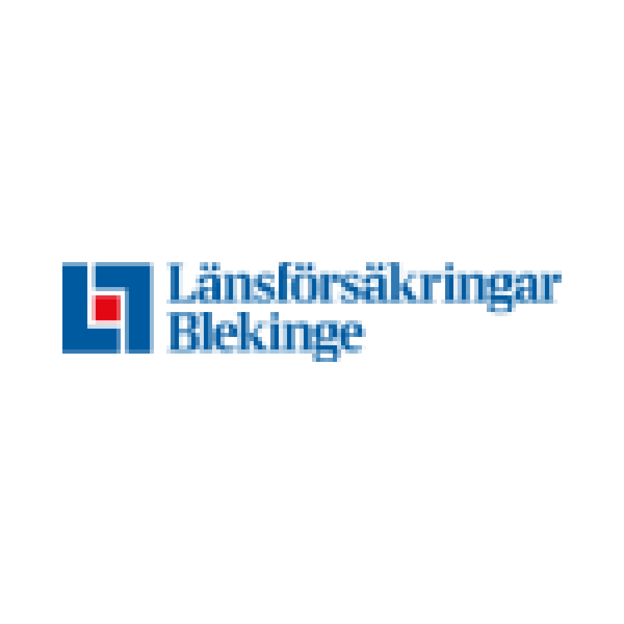 Våra partners 29